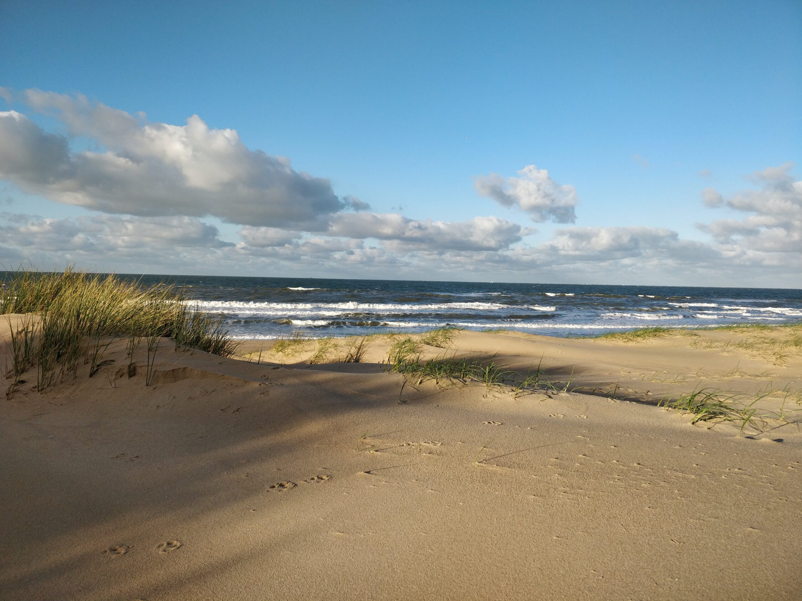 IMG 20201123 095925 Scaled